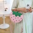 Personalized and creative small bag for women 2024 new style, fresh, artistic, fashionable, strawberry and western-style single shoulder crossbody small round bag