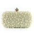 New Hengmei Factory Hot Selling Banquet Pearl Bag Shoulder Chain Women's Handbag Cross border