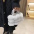 Autumn/Winter Plush Bag 2024 New Forest Soft Girl Color blocked Personalized Plush Ball Single Shoulder Crossbody Bucket Bag Trendy