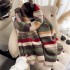 Autumn and winter colored striped imitation cashmere scarf for women, students, couples, Japanese, versatile, thick and warm double-sided scarf