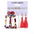 Cross border accessories European and American earrings 6-piece set Geometric metal acrylic sheet tassel earrings set Jewelry wholesale