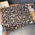 Autumn and winter, same niche design, leopard print long scarf, women's American spicy girl style, fashionable shawl trend