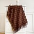 Coffee colored imitation cashmere long tassel warm scarf, women's core yarn air conditioning shawl scarf, high-end versatile scarf