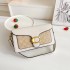 Cross shoulder handbag, new fashionable and simple bag, female internet celebrity, color blocking, versatile and high-end, single shoulder cross shoulder, Instagram wholesale