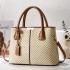 2024 New European and American Foreign Trade Women's Bag Lychee Pattern Fashion Women's Handbag Single Shoulder Diagonal Cross Bag Hair Collection