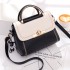 2024 Autumn New Fashionable Embroidered Lace Handbag Trendy Color blocked Single Shoulder Crossbody Bag Hair Collection