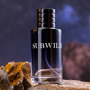 2023 New Wild Men's Eau de Toilette Classic eau de toilette EDT Long lasting Eau de Toilette 100ml Men's Eau de Toilette