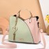 Women's Bag 2024 New Trendy Handbag Korean Edition Color Contrasting Large Capacity Fashion Single Shoulder Crossbody Bag One Piece Hair Collection