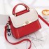 2024 Autumn New Fashionable Embroidered Lace Handbag Trendy Color blocked Single Shoulder Crossbody Bag Hair Collection