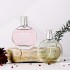 Small Salon Encounters perfume 50ML Wholesale Women's Persistent Fragrance and Fresh eau de toilette Tiktok