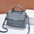 Bag Women's Bag 2024 New Personalized Stone Pattern Shoulder Bag Fashion Retro Large Capacity Handbag One Piece Hair Collection