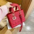 Bag Women's Bag 2024 New Fashion Trend European and American Ins Daifei Bag Single Shoulder Cross Shoulder Large Capacity Handbag Bag