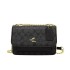 2024 bag women's bag new fashionable and versatile small square bag internet famous texture single shoulder crossbody women's bag cross-border wholesale