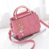 Women's Bag 2024 New Fashionable Handheld Small Bag Foreign Trade Women's Embroidery Thread Single Shoulder Crossbody Bag Trendy Hair Collection