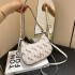 Bag for women 2023 new monthly crossbody bag, trendy underarm simple shoulder bag, versatile for commuting, fashionable and casual