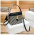 2023 DIAOLUN bag women's cross-border new fashionable, versatile, high-end, niche design crossbody carrying small square bag