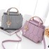 Women's Bag 2024 New Fashionable Handheld Small Bag Foreign Trade Women's Embroidery Thread Single Shoulder Crossbody Bag Trendy Hair Collection