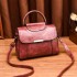 Cross Mirror Fashion Retro Handheld Small Bag for Women 2024 Spring/Summer New Style Fashion Simple Single Shoulder Crossbody Bag Hair Collection