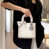 Himalaya Gradient Crocodile Pattern Concubine Bag 2024 New High end Chain Versatile Single Shoulder Cross Shoulder Handbag