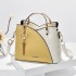 Women's Bag 2024 New Trendy Handbag Korean Edition Color Contrasting Large Capacity Fashion Single Shoulder Crossbody Bag One Piece Hair Collection