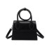 Cross border bag for women 2024 fashion new retro texture small square bag internet famous ins versatile shoulder crossbody bag bag