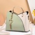 Women's Bag 2024 New Trendy Handbag Korean Edition Color Contrasting Large Capacity Fashion Single Shoulder Crossbody Bag One Piece Hair Collection