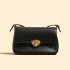 Bag niche design retro baguette bag armpit bag 2025 new trendy women's spring and summer trend versatile crossbody bag