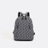 Light luxury retro embroidered backpack 2024 new summer vintage canvas large capacity commuting fashionable travel backpack