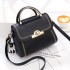 2024 Autumn New Fashionable Embroidered Lace Handbag Trendy Color blocked Single Shoulder Crossbody Bag Hair Collection