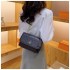 2024 bag women's bag new fashionable and versatile small square bag internet famous texture single shoulder crossbody women's bag cross-border wholesale