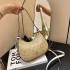 Bag for women 2023 new monthly crossbody bag, trendy underarm simple shoulder bag, versatile for commuting, fashionable and casual