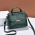 Bag Women's Bag 2024 New Personalized Stone Pattern Shoulder Bag Fashion Retro Large Capacity Handbag One Piece Hair Collection