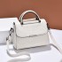 Bag Women's Bag 2024 New Personalized Stone Pattern Shoulder Bag Fashion Retro Large Capacity Handbag One Piece Hair Collection