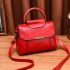 Cross Mirror Fashion Retro Handheld Small Bag for Women 2024 Spring/Summer New Style Fashion Simple Single Shoulder Crossbody Bag Hair Collection