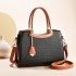 Women's handbag 2024 new style temperament commuting handbag versatile and atmospheric middle-aged mother bag mother-in-law gift hair replacement