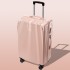 Luggage, travel suitcase, large capacity, small size, 20 pull rod suitcase, universal wheel, 24 female and male student password leather suitcase, 28 inches