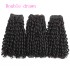 Double drawn pixie curly funmi hair bundles with closure