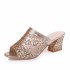 Cool drag women's 2023 summer new fish mouth middle heel mesh thick heel sequin casual Korean version foreign trade plus size sandals