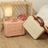 Internet celebrity ins 14 inch portable suitcase for girls, fresh students, small and lightweight wedding gift storage luggage