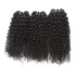 Kinky Curly Virgin Hair Human Hair Bundles Hair Curtains Xu Chang Wigs