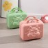 2024 New 3D Dragon Handheld Luggage Makeup Small Box Bag 14 inch Cute and Convenient Mini Storage Box for Women