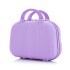 Internet celebrity makeup case, portable small size, portable 14 inch suitcase, women's mini travel case, storage bag, large capacity