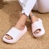 EVA thick soled slippers with a feeling of stepping on poop, women's anti odor, anti slip, wear-resistant indoor and outdoor cross-border hot selling wholesale slippers