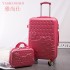 2022 New Love Cartoon Cat Mother and Child Trolley Luggage, Universal Wheel Password Travel Box, 20 inch Boarding Case