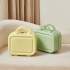 Cute travel luggage, small mini boarding box, 14 inch handheld cosmetics storage box, hard box that can be hung