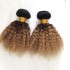 Afro Kinky Curly T1b/4/27 real wig African explosive song hair curtain T color wig hair curtain