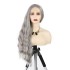 AliExpress New Product Hot selling European and American Wig Women's Grey Synthetic Front Lace Headset Wave Roll Wig