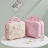 Handheld luggage, women's 14 inch makeup box, small travel suitcase, lightweight and cute anime 3D rabbit password luggage