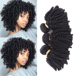 Afro Kinky Curly Funmi Spring Roll Women's Wig Curved Hair Bouncy Curly Bundle