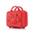 Handheld luggage, women's 14 inch makeup box, small travel suitcase, lightweight and cute anime 3D rabbit password luggage